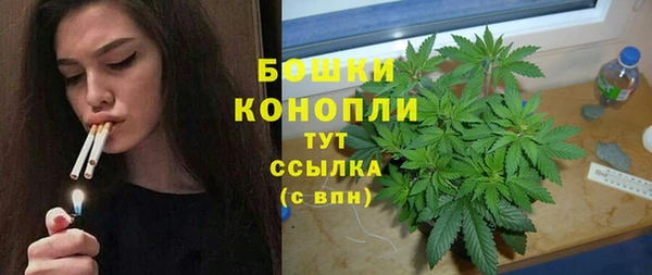 гидра Белоозёрский
