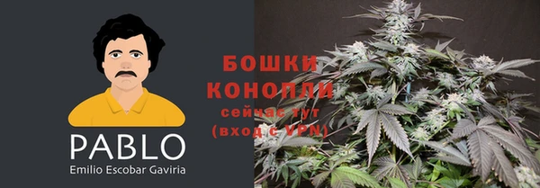 гидра Белоозёрский