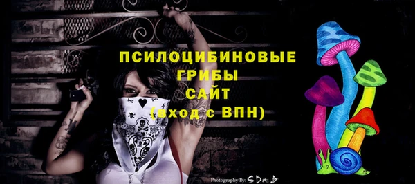 первитин Белокуриха