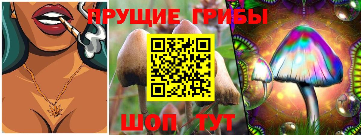 Галлюциногенные грибы ЛСД Маркс