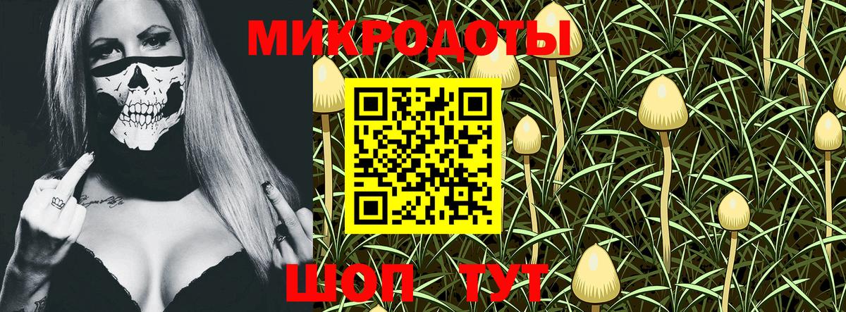 Маркс  Галлюциногенные грибы мицелий  Псилоцибиновые грибы мухоморы  даркнет сайт  Вход с VPN 